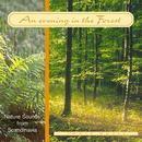 An evening in the forest. CD