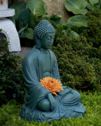 Stor Buddha statue (have statue)