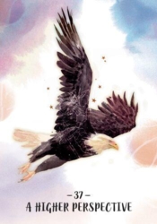 Sisterhood of the Seers Orakelkort