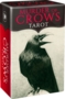 Mini  Murder of Crows tarot